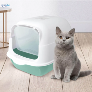 Cat Litter